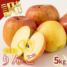 【ふるさと納税】 【農業者支援】 加工用 山形県産 品種おまかせ りんご 約5kg くだもの フルーツ 林檎 リンゴ アップル 秋果実 生産者支援 農業者支援 支援品 自宅用 家庭用 訳アリ ワケアリ 数量限定 山形県 西川町 月山 FYN9-913
