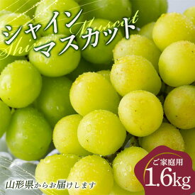 【ふるさと納税】 ≪2026年先行予約≫ご家庭用 山形県 シャインマスカット約1.6kg(2～4房) 2026年9月上旬から順次発送 種なしぶどう 葡萄 ブドウ マスカット 果物 くだもの フルーツ 秋果実 産地直送 訳あり 自宅用 家庭用 農家 農業者 支援品 山形県 西川町 月山 FYN9-914