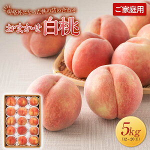 yӂ邳Ɣ[Łz 2025Ns\₲ƒp R`Y ܂  5kg(12`20) 2025N8{珇 ĉʎ ʎ ʕ  t[c   s[` ƒp p 󂠂 _