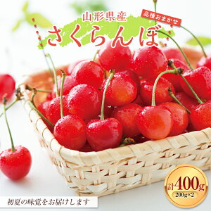 �y�ӂ邳�Ɣ[�Łz ��2026�N��s�\���R�`���Y ���܂��� �������� �G�i 400g�i200g×2�p�b�N�j 2026�N6�����{���珇������ ������ �ʎ� �ʕ��������� �t���[�c ���� �T�N�����{ ���ϔ� �t�[�h�p