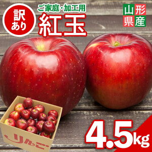 yӂ邳Ɣ[Łz2025Ns\ ƒEHp R`Y  g 4.5kg 2025N10{珇   ь S 傭 ʕ  t[c Hʎ 󂠂 H
