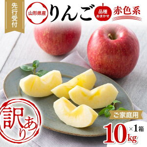 yӂ邳Ɣ[Łz yIׂeʁz 2025Ns\ ƒp R`Y i킨܂  ԐFn 2kg`10kg 2025N10{珇 ʕ  t[c ь YҎx _ƎҎx