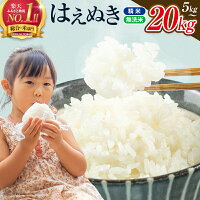 【ふるさと納税】 総合1位 無洗米 定期便も選べる はえぬき 5kg 10...