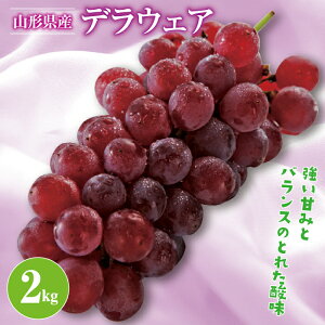 yӂ邳Ɣ[Łz s2026Ns\tR`Y fEFA 2kg 2026N8{珇 햳 Hׂ₷ Ԃǂ uhE   ʕ t[c ĉʎ  ƒ Yn _ƒ
