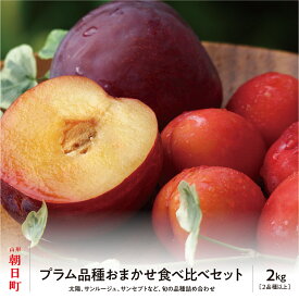 【ふるさと納税】 プラム おまかせ 2種以上 食べ比べ 2kg 大玉 2L以上 秀品 化粧詰め 山形県 朝日町産 山形産 すもも スモモ フルーツ 果物 夏 送料無料