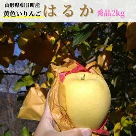 【ふるさと納税】りんご はるか 秀品 2kg 【11月下旬から発送】 山形県 朝日町産 山形県産 特産 果物 フルーツ リンゴ 林檎 秋 冬 先行予約
