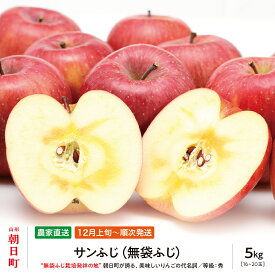 【ふるさと納税】＜ 先行予約 ＞ りんご サンふじ 秀 5kg 16～20玉 【2026年12月上旬発送】農家直送 山形県 朝日町産 山形県産 特産 果物 フルーツ リンゴ 林檎 産地直送 秋 冬 送料無料