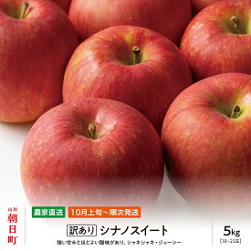 【ふるさと納税】りんご ご家庭用 訳あり 「 シナノスイート 」 5kg 山形県 朝日町産 農家直送 山形県産 特産 果物 フルーツ リンゴ 林檎 秋 送料無料