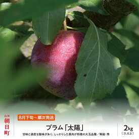 【ふるさと納税】 プラム 太陽 2kg 大玉 2L以上 秀品 化粧詰め 山形県 朝日町産 山形産 すもも スモモ フルーツ 果物 夏 送料無料