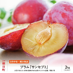 �y�ӂ邳�Ɣ[�Łz�v���� �T���Z�v�g 2kg ��� 2L�ȏ� �G�i ���ϋl�� �R�`�� �������Y �R�`�Y ������ �X���� �t���[�c �ʕ� �H ��������