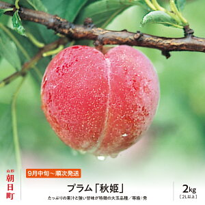 �y�ӂ邳�Ɣ[�Łz�v���� �H�P 2kg ��� 2L�ȏ� �G�i ���ϋl�� �R�`�� �������Y �R�`�Y ������ �X���� �t���[�c �ʕ� �H ��������