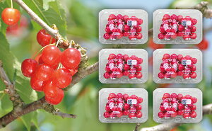 �y�ӂ邳�Ɣ[�Łz����s�\�� ���܂��� �������� �G�i L 1.08kg 180g×6�p�b�N �y6�����{�������z�R�`�� �������Y �_�Y�� �t���[�c �R�`�Y �o���l�� �T�N�����{ ���� �ʕ� ����