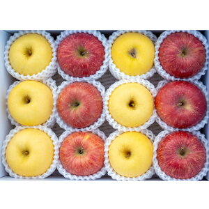 �y�ӂ邳�Ɣ[�Łz��� �T���ӂ� �� �͂邩 �l���� �G 3kg 10�`12�� �y2026�N1�������z �_�ƒ��� �R�`�� �������Y �R�`���Y ���Y �ʕ� �t���[�c �����S �ь� �Y�n���� �~