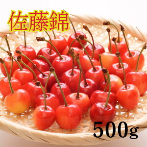 �y�ӂ邳�Ɣ[�Łz �������� ������ �G�i L 500g �R�`�� �������Y �_�Y�� �t���[�c �R�`�Y �o���l�� �T�N�����{ ���� �ʕ� ���� ��������