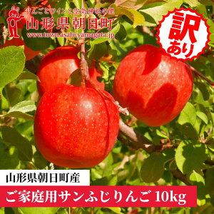 yӂ邳Ɣ[Łz R` Y ƒp 󂠂uTӂv10kg (36`46)@R`Y Y ʕ t[c S ь H ~ 