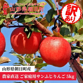 【ふるさと納税】＜ 先行予約 ＞ りんご ご家庭用 訳あり 「 サンふじ 」 5kg 山形県 朝日町産 農家直送 山形県産 特産 果物 フルーツ リンゴ 林檎 秋 送料無料