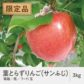 【ふるさと納税】葉とらずりんご 限定300箱 山形県 朝日町産 りんご サンふじ 秀品 3kg 約7～11玉 山形県産 特産 果物 フルーツ リンゴ 林檎 秋 冬 送料無料