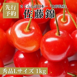 yӂ邳Ɣ[Łz   Gi L 1kg R` Y _Y t[c R`Y ol TN{  ʕ  