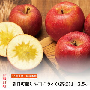 yӂ邳Ɣ[Łz Ƃ  Gi 2.5kg R` Y R`Y Y ʕ t[c S ь H 