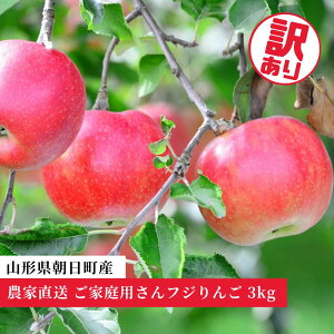 yӂ邳Ɣ[Łz ƒp 󂠂 uTӂv3kg _ƒ R` Y R`Y Y ʕ t[c S ь H ~ 