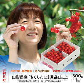 【ふるさと納税】【令和9年産のお申込みは令和9年4月1日より受付開始になります】 山形県産 さくらんぼ ( 佐藤錦 ・ 紅秀峰 ) ※ 秀品 L以上 選べる 300g ・ 500g ・ 700g ・ 1kg 【2027年6月下旬から7月上旬】 贈答用 ギフト お中元 大粒