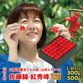 【ふるさと納税】【令和9年産のお申込みは令和9年4月1日より受付開始になります】 山形県産 さくらんぼ （ 佐藤錦 ・ 紅秀峰 ） ※ 特秀品 L 化粧手詰 選べる ( L ・ 2L )( 300g ・ 500g )【2027年6月下旬から7月上旬発送】 高級 送料無料