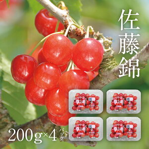 �y�ӂ邳�Ɣ[�Łz����s�\�� �������� ������ �G�i L 800g 200g×4 �p�b�N �_�ƒ��� �R�`�� �������Y �_�Y�� �t���[�c �R�`�Y �o���l�� �T�N�����{ ���� �ʕ� ���� ��������