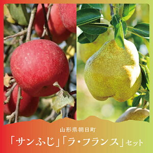 yӂ邳Ɣ[ŁzEtXTӂ l 5kg e6`9 Gi 蕨 _ƒ R` Y R`Y R` Y ʕ t[c  S ь ӂ tX miV m Z