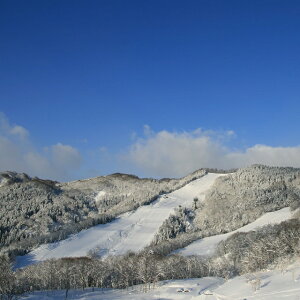 yӂ邳Ɣ[ŁzXm[p[N AsahiR tg 1 1l k R`  XL[ XL[ Xm[{[h Xm{ tg `Pbg