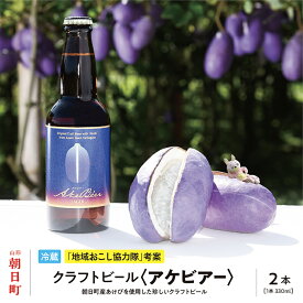 【ふるさと納税】アケビを使ったクラフトビール アケビアー 330ml×2本 箱入り あけび 送料無料