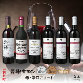 【ふるさと納税】山形県 朝日町 ワイン 赤 辛口 アソート 6本 セット 720ml 赤ワイン ワインセット 詰合せ 送料無料