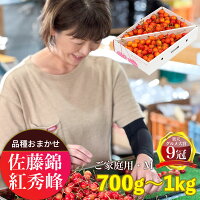 【ふるさと納税】山形県産 さくらんぼ （ 佐藤錦 ・ 紅秀峰 ） ご家庭用...