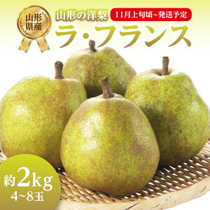 yӂ邳Ɣ[ŁzssttEtX 2kgi4`8ʁj y2025N11{`\zyR`mz R` ] ]Y R`Y ʕ t[c  tX ӂ 