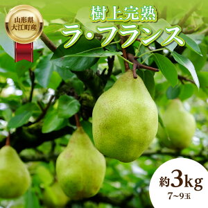 yӂ邳Ɣ[ŁzssttR`]Yu㊮n EtXv3kg G 3L`4L 7ʁ`9 ӂ邳Ɣ[ EtX m mȂt[c ʕ fU[g