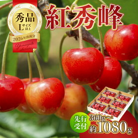 【ふるさと納税】063-006【2026年度先行受付】★さくらんぼ紅秀峰★秀品 選べる内容量(360g〜1080g) 【6月より順次発送予定】 さくらんぼ 大粒 紅秀峰 フルーツ 果物 山形 濃厚 紅色 果汁 甘い 人気 大江町 ふるさと納税 秀品