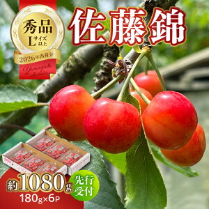 yӂ邳Ɣ[Łzy2026NxstzڍсGi Iׂe(360g`1080g) y6菇\z ӂ邳Ɣ[ R` ]   Gi ʕ t[c fU