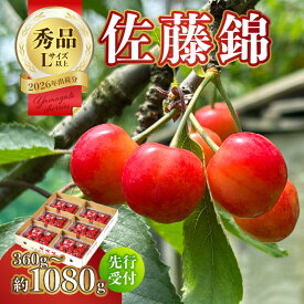 【ふるさと納税】【2026年度先行受付】★さくらんぼ佐藤錦★秀品 選べる内容量(360g〜1080g) 【6月より順次発送予定】 ふるさと納税 山形県 大江町 さくらんぼ 佐藤錦 秀品 果物 フルーツ デザート 人気