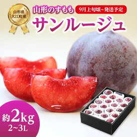 【ふるさと納税】《先行予約》すもも「サンルージュ」約2kg 2～3L【2024年9月上旬頃～発送予定】【山形プラム・大江町産】