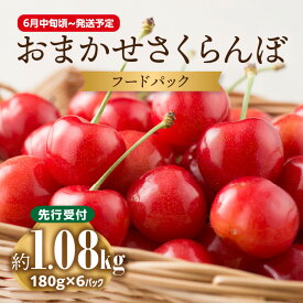 【ふるさと納税】 《先行受付》おまかせさくらんぼ フードパック 約1.08kg (180g×6)【2026年6月中旬頃～発送予定】【山形県産さくらんぼ】