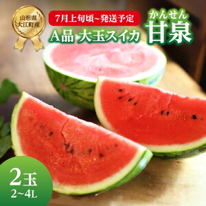 �y�ӂ邳�Ɣ[�Łz �s��s��t�tA�i ��ʃX�C�J�u�Ð�v2�� 2L�`4L�y2026�N7����{���`�����\��z�y�R�`�X�C�J�E��]���Y�z ������ �X�C�J ���Z ��� ��� �ʕ� �t���[�c �Ð� �Y�n����