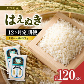 【ふるさと納税】《12ヶ月定期便》大江町産 はえぬき 10kg(5kg×2袋)×12ヶ月(計120kg)【山形県産】