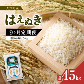 【ふるさと納税】《9ヶ月定期便》大江町産 はえぬき 5kg×9ヶ月(計45kg)【山形県産】