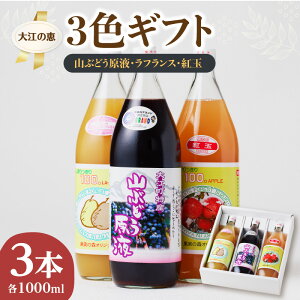 yӂ邳Ɣ[Łz ]̌b 3FMtg (RuhEtAtXAgʊe1000ml)  ʏ` ʏ`100% Yn r[Ly[