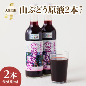 yӂ邳Ɣ[Łz ]̌b RԂǂt2{Zbg (e500mlj ʏ` hN ʏ`100% t Ԃǂ W[X R O[v r[Ly[