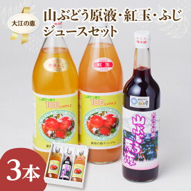 【ふるさと納税】 大江の恵 山ぶどう原液(500ml) 紅玉・ふじ(各1L) ジュースセット 飲料類 果汁飲料 ドリンク 果汁100%
