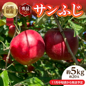 yӂ邳Ɣ[ŁzssttR`YuTӂvGi 5kg 20ʁy2025N11{`\z R` ]  S Tӂ 5L 20 J t[c ʕ Gi