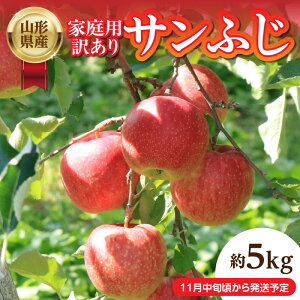 yӂ邳Ɣ[ŁzssttR`Y ƒp󂠂uTӂv5kgy2025N11{`\z R` ]  S Tӂ ƒp 󂠂 5L t[c ʕ