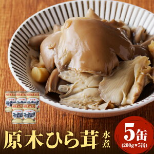 yӂ邳Ɣ[Łz ]Y ؂Ђ200g×5(Ō`ʁj r[Ly[