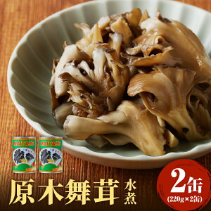 yӂ邳Ɣ[Łz ]Y ؕ220g×2ʁiŌ`ʁj r[Ly[