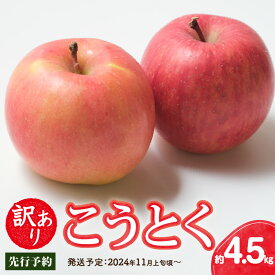 【ふるさと納税】《先行予約》訳ありこうとく約4.5kg【2024年11月上旬頃～発送予定】【大江町産・山形りんご・りんご専科 清野哲生】